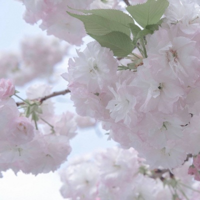 兽设火山场景创作福瑞交流群